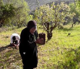 بالصور:: مسنة فلسطينية تتحدى قوات الاحتلال بزراعة أرضها