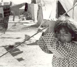 شاهد بالصور «  نكبة 48  »