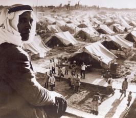 شاهد بالصور «  نكبة 48  »