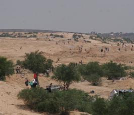 الصور الأولية لمسيرة العودة التي تحولت لمواجهات مع قوات الاحتلال شمال القطاع