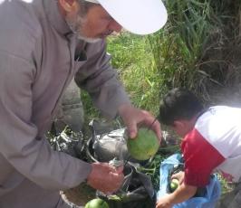 بالصور : فتة « العجر  » من الأكلات الشعبية الفلسطينية 