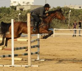 بالصور: شباب غزة يمارسون رياضة ركوب الخيل