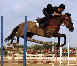 بالصور: شباب غزة يمارسون رياضة ركوب الخيل