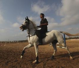 بالصور: شباب غزة يمارسون رياضة ركوب الخيل