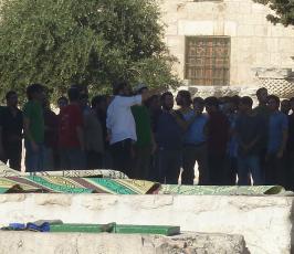 بالصور.. جماعات صهيونية تقتحم المسجد الأقصى المبارك