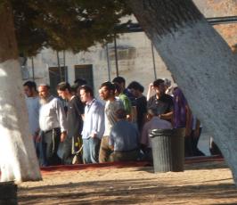 بالصور.. جماعات صهيونية تقتحم المسجد الأقصى المبارك