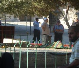 بالصور.. جماعات صهيونية تقتحم المسجد الأقصى المبارك