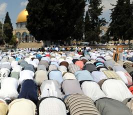 بالصور : 170 ألف فلسطيني يؤدون الصلاة داخل المسجد الأقصى خلال الجمعة الثانية من شهر رمضان رغم مضايقات الاحتلال