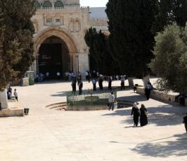 بالصور: يهود متطرفين يجولون باحات المسجد الاقصى تحت حماية الشرطة الاسرائيلية