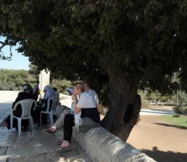 بالصور: يهود متطرفين يجولون باحات المسجد الاقصى تحت حماية الشرطة الاسرائيلية