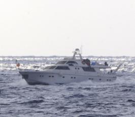 بالصور: قراصنة الاحتلال يقتحمون السفينة الكندية والايرلندية المتوجهات للتضامن مع قطاع غزة