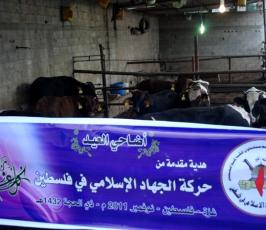 بالصور: حركة الجهاد تقوم بتنفذ مشروع الأضاحى بإقليم الوسطى