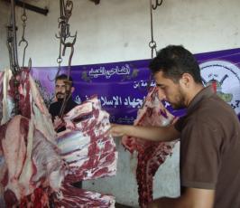 بالصور:: الجهاد الإسلامي تنفذ مشروع اضاحي العيد اقليم غزة