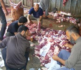 بالصور .. الجهاد الإسلامي تنفذ مشروع الأضاحي إقليم خانيونس