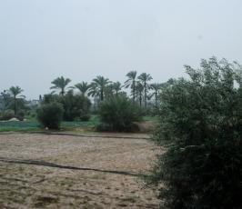 بالصور: رياح وأمطار غزيرة تغزو مدينة غزة