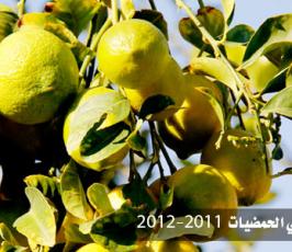 بالصور.. افتتاح موسم « الذهب الأصفر » بغزة 2011- 2012