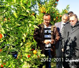بالصور.. افتتاح موسم « الذهب الأصفر » بغزة 2011- 2012