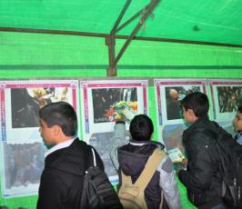 بالصور..الرابطة الإسلامية تنظم معرضاً للصور في ذكرى العدوان على غزة