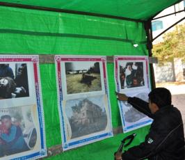 بالصور..الرابطة الإسلامية تنظم معرضاً للصور في ذكرى العدوان على غزة