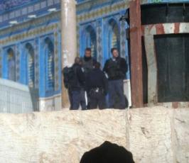 بالصور..جنود الاحتلال « الإسرائيلي » يتجولون بزيهم العسكري في المسجد الأقصى