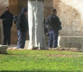 بالصور..جنود الاحتلال « الإسرائيلي » يتجولون بزيهم العسكري في المسجد الأقصى
