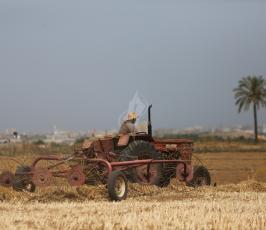 مزارعون ‫(30401932)‬ ‫‬