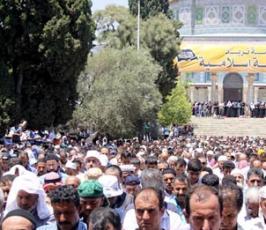 حزب التحرير ينفذ فعاليات بالأقصى