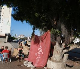عائلة من رفح تسكن الأسفلت في غزة ‫(37552651)‬ ‫‬