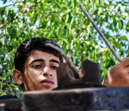 DSC_0044