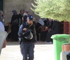 مستوطنون يقتحمون باحات المسجد الأقصى