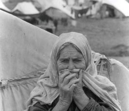 نكبة فلسطين .. ما لا تنساه الذاكرة