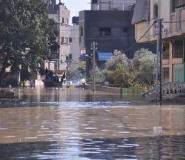 الجهاد لليوم الثالث تواصل "حملة مودة "لمساعدة العائلات المنكوبة بغزة