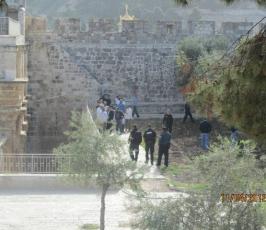 تواجد فلسطينى مكثف في المسجد الاقصى للتصدي للمستوطنين