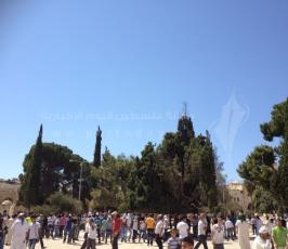 اصابات واعتقالات قي اقتحام الاحتلال لباحات المسجد الأقصي