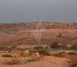  زيكيم  مسيرات العودة  ‫(41353749)‬ ‫‬.JPG