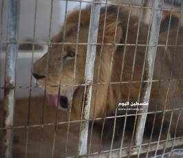 حديقة حيوان ‫(1)‬.JPG
