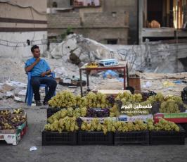 عنب ‫(174473807)‬ ‫‬.jpg
