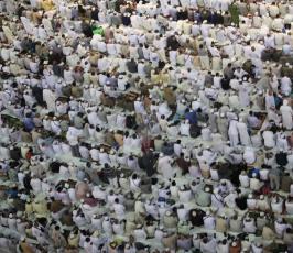  وصول الحجاج من المدينة الى مكة ‫(30597522)‬ ‫‬