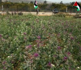 نشطاء فلسطينيون يقطعون أجزاء من معتقل عوفر غربي رام الله