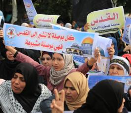 العمل النسائى ‫(44040741)‬ ‫‬