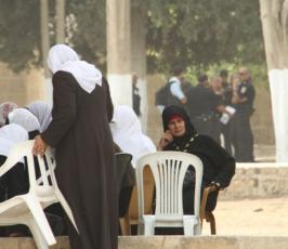 المرابطات في المسجد الأقصى: قصص لبطولات يومية