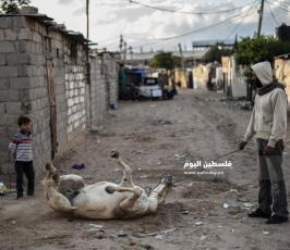 عائلة فقيرة  ‫(1)‬.jpg
