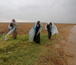 الاحتلال يهدد بإزالة محاصيل على حدود خانيونس والمزارعون يستغيثون (3)