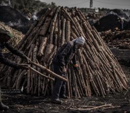 صناعة الفحم  (60)