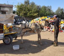 جمع القمامة10