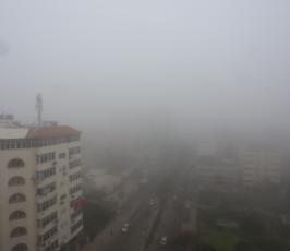 ضباب كثيف (11)