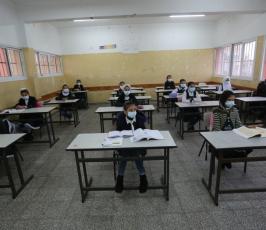 طلبة المرحلة الابتدائية في المدارس الحكومية يعودون لمدارسهم (3)