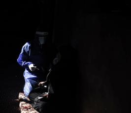 فجص كورونا (3)