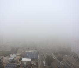 ضباب كثيف (10)
