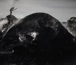صناعة الفحم  (19)
